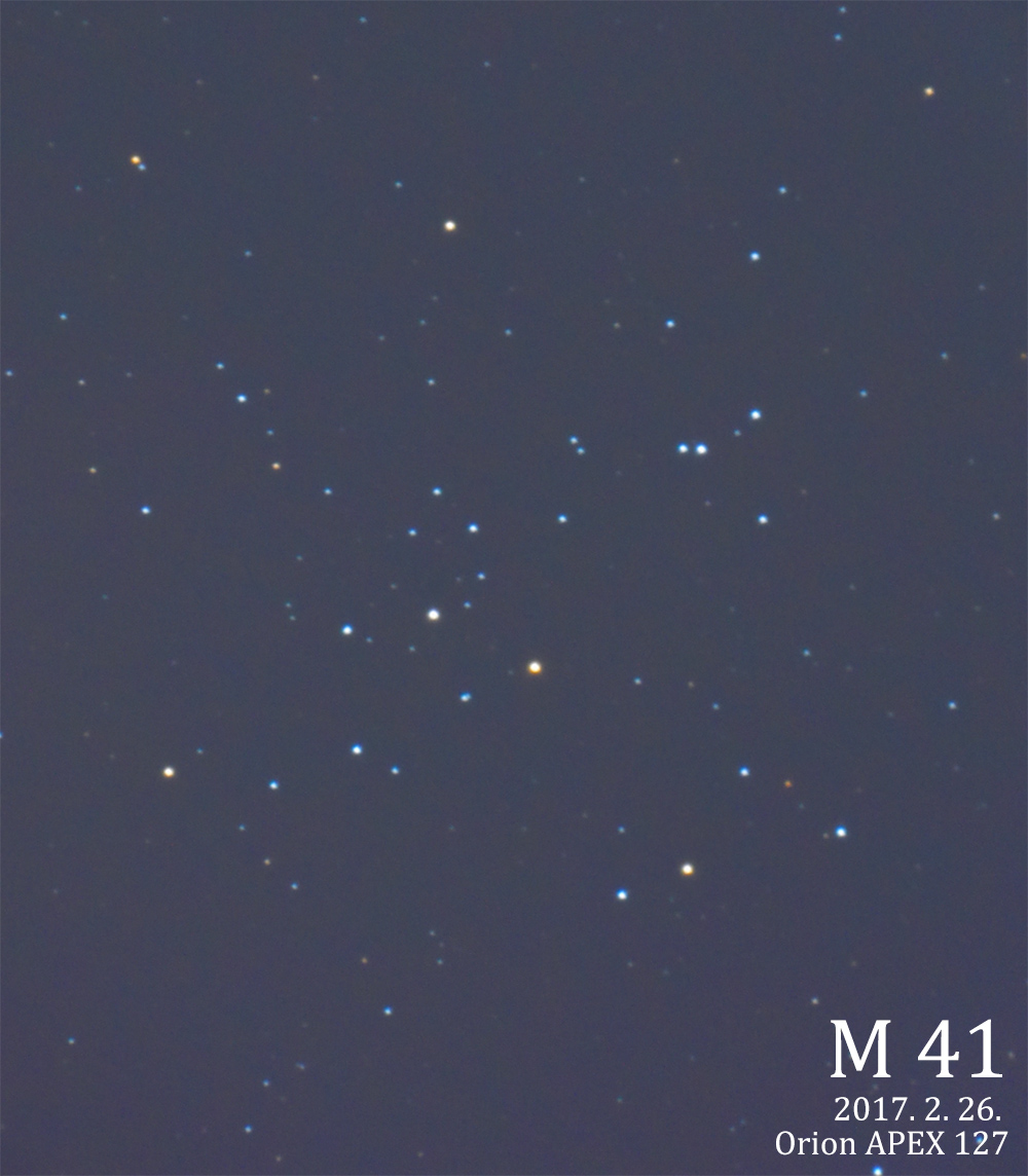 m41.jpg